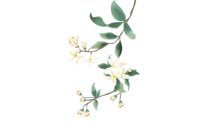 元素手绘锡兰水梅花枝元素