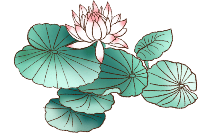 水墨    工笔画   中国画   传统    花鸟   花卉   荷花   工笔花鸟