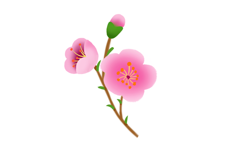元素 花卉元素 桃花 粉色