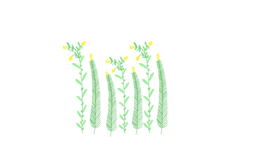 元素+夏季植物相关+花卉