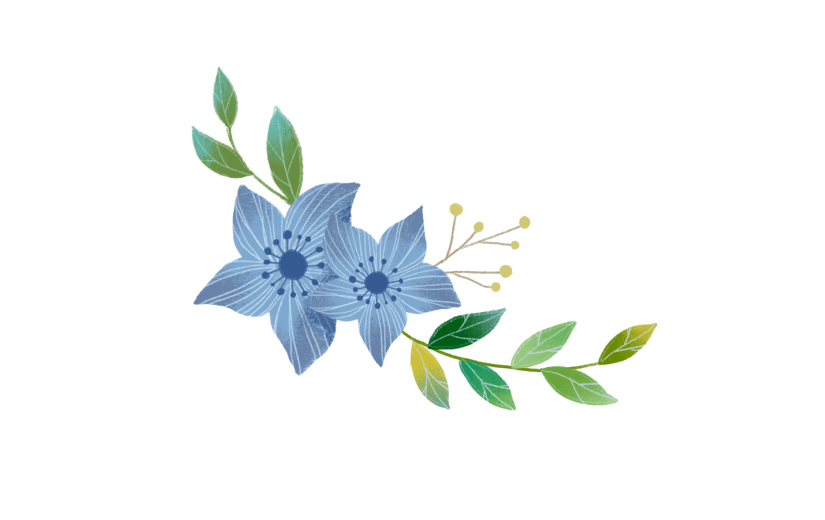 元素手绘植物插画插画元素