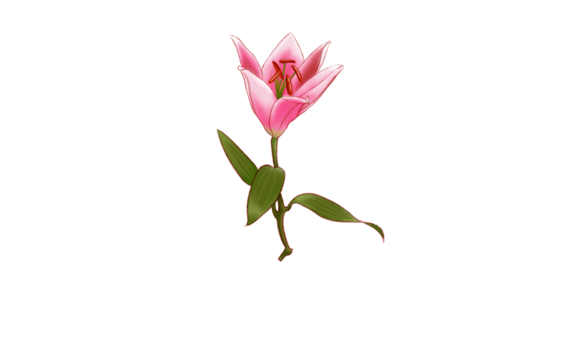 元素手绘简约处暑红色花卉