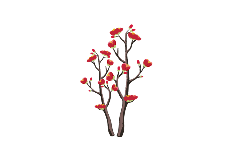 花卉花朵花枝