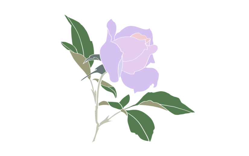 元素简约紫色月季