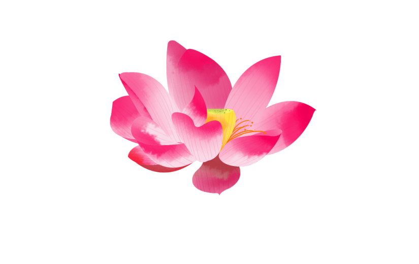 元素手绘水彩花卉红色荷花莲花插画元素