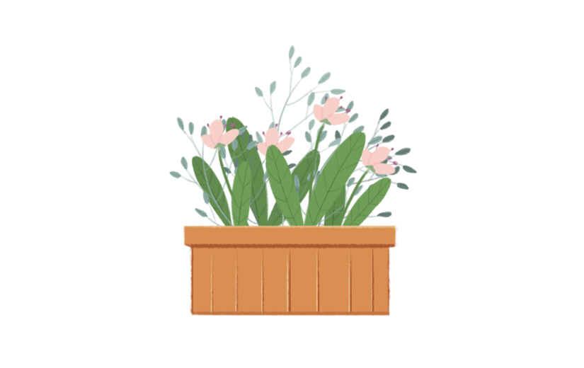 素材绿植盆栽花卉