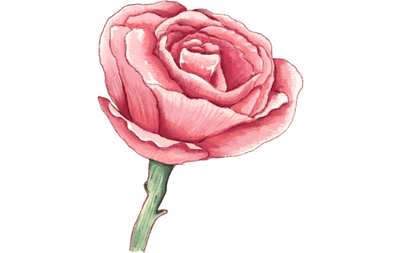 元素花卉贴纸装饰