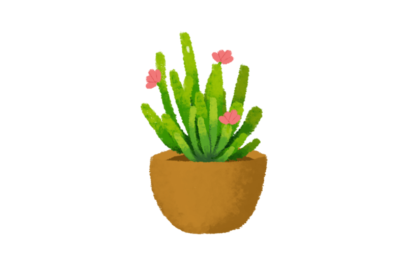 素材绿植花卉盆栽