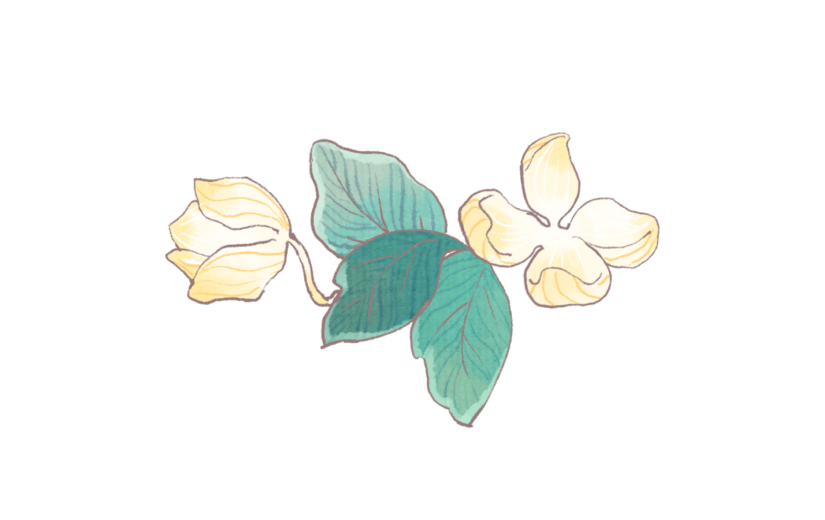 元素花朵花卉节日白色简约