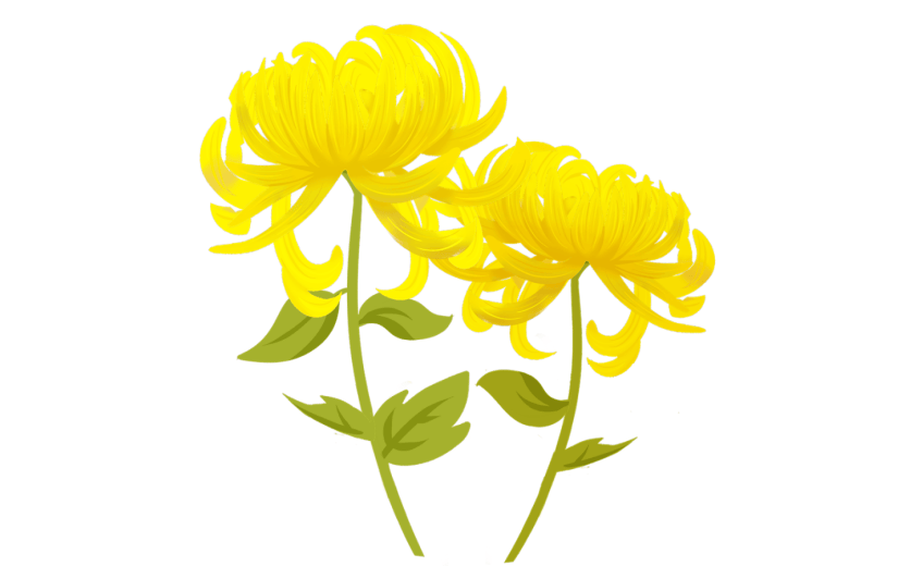 元素重阳节黄色菊花花卉装饰元素