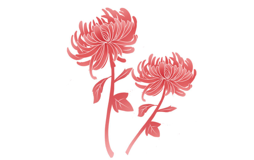 元素重阳节单色渐变菊花元素