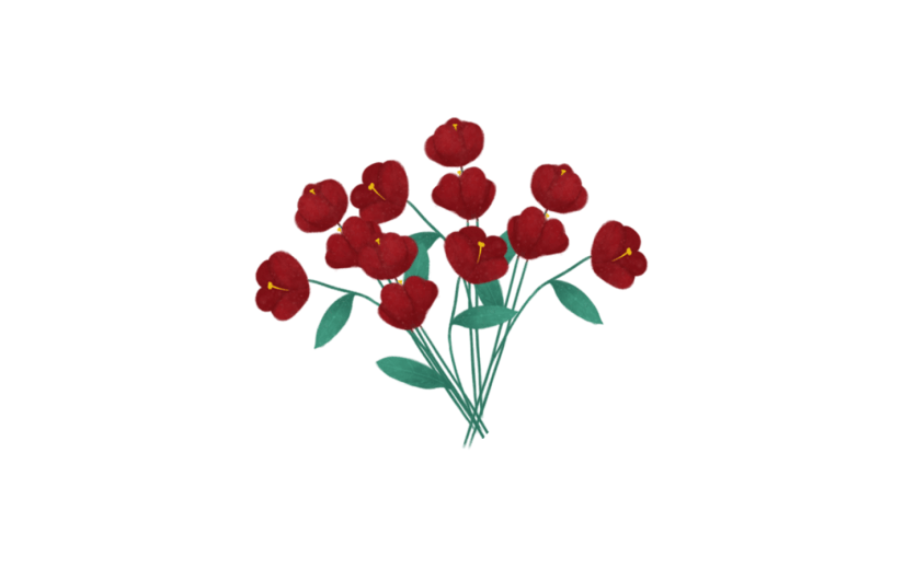女神节花卉花朵红色