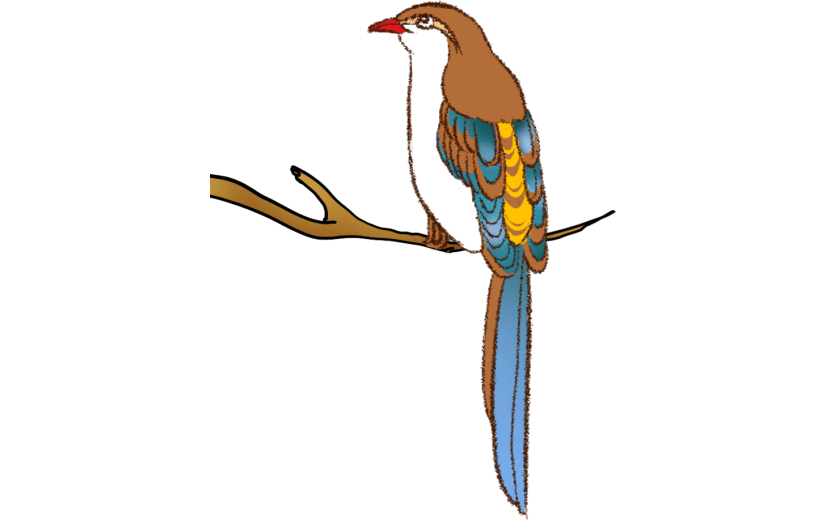 卡通    工笔画   中国画   传统    花鸟   花卉     工笔花鸟