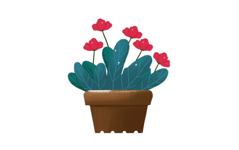 花卉花盆花朵素材