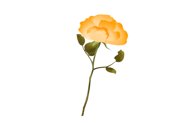 元素手绘水彩花卉黄色花束插画元素