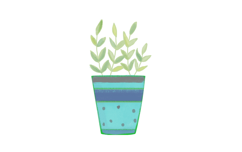 植物花盘系列4