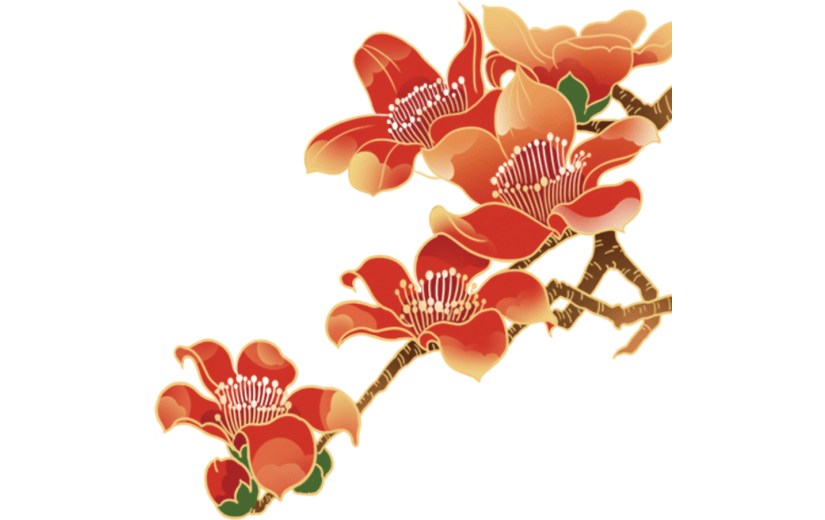 工笔画   中国画   传统    花鸟   花卉     工笔花鸟   木棉花