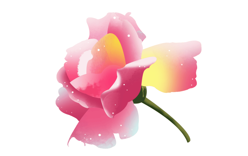 元素手绘水彩花卉粉色玫瑰插画元素