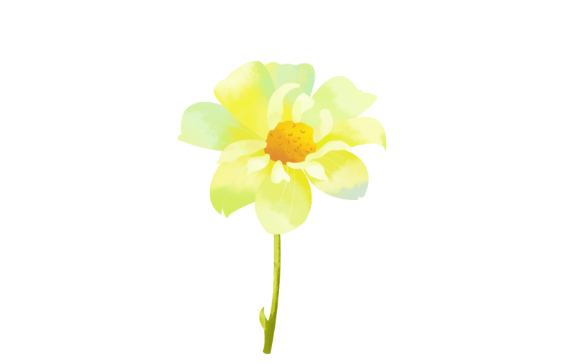 元素手绘水彩花卉黄色花朵插画元素
